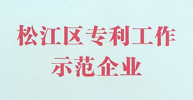 涌镇获得【2020年松江区专利示范企业】